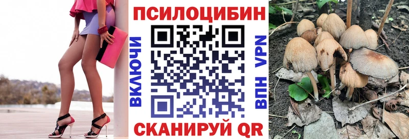 купить наркотик  Курганинск  Галлюциногенные грибы ЛСД 